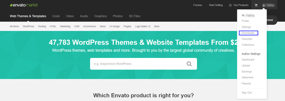 Themeforest-downloads